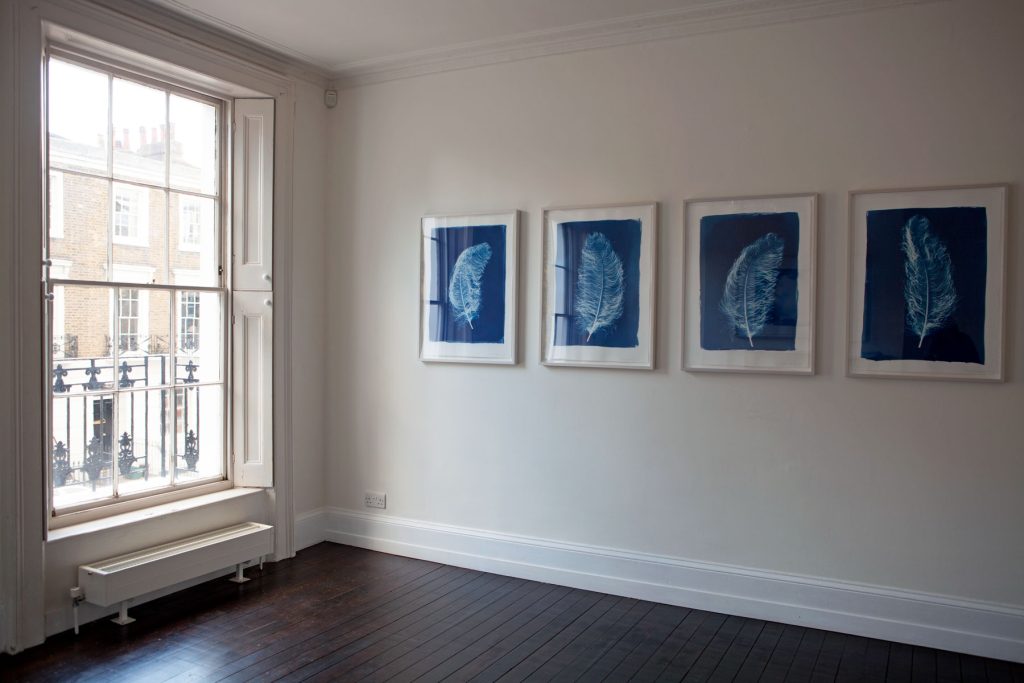 Installation view, 43 Inverness Street, London, 2015